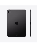 iPad Pro 11" WiFi M4 Chip 256GB Space Black with Standard Glass