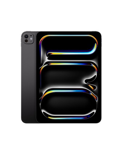iPad Pro 13" WiFi+Cellular M4 Chip 256GB Space Black with Standard Glass