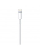 Apple USB-C to Lightning Cable (2M)